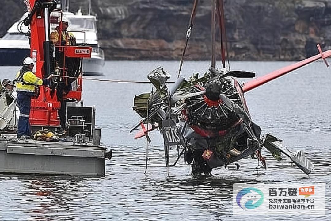 阿客机遇难机组人员以身殉职 获追授英雄称号 (客机灾难事件视频)